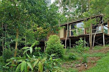 Kondalilla Eco Resort - New Castle Holiday 22