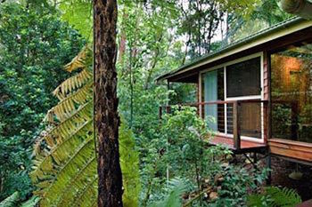 Kondalilla Eco Resort - New Castle Holiday 23