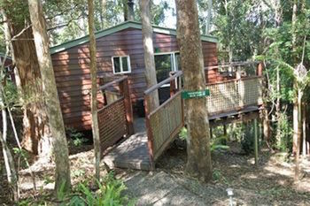 Kondalilla Eco Resort - New Castle Holiday 27