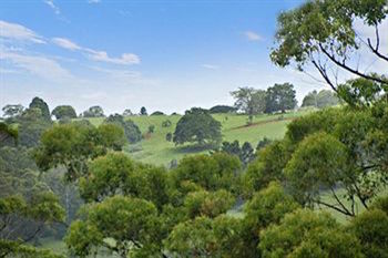 Kondalilla Eco Resort - New Castle Holiday 28