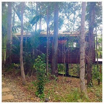 Kondalilla Eco Resort - New Castle Holiday 32
