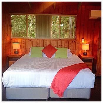 Kondalilla Eco Resort - New Castle Holiday 42