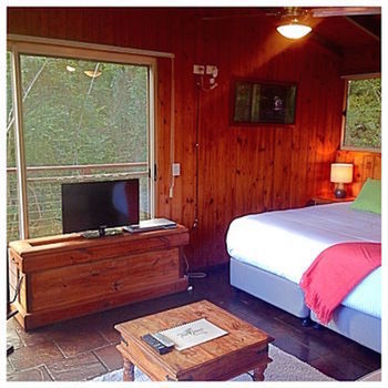 Kondalilla Eco Resort - New Castle Holiday 50