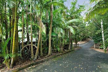 Kondalilla Eco Resort - New Castle Holiday 94