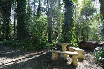 Kondalilla Eco Resort - New Castle Holiday 98