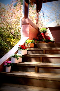 Hotel Avonleigh - New Castle Holiday 13