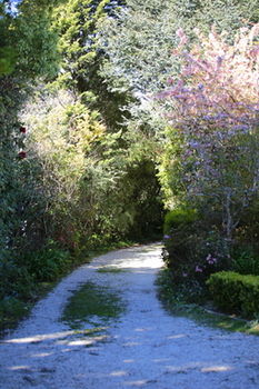 Hotel Avonleigh - New Castle Holiday 15