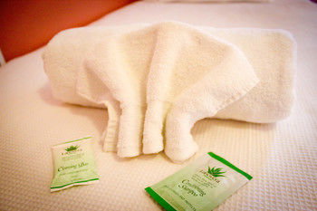 Hotel Avonleigh - New Castle Holiday 26