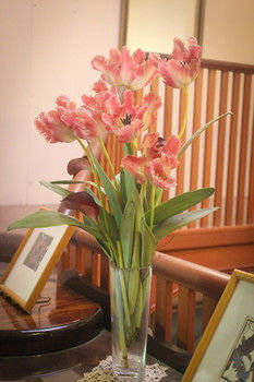 Hotel Avonleigh - New Castle Holiday 30