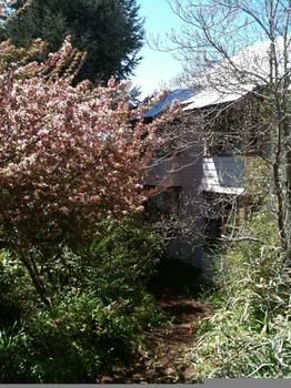 Hotel Avonleigh - New Castle Holiday 45