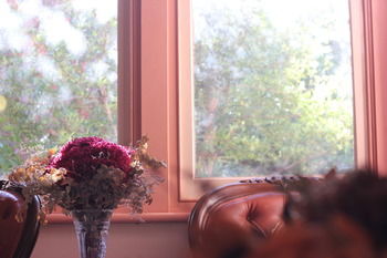 Hotel Avonleigh - New Castle Holiday 46