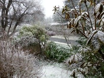 Hotel Avonleigh - New Castle Holiday 51