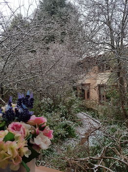 Hotel Avonleigh - New Castle Holiday 56