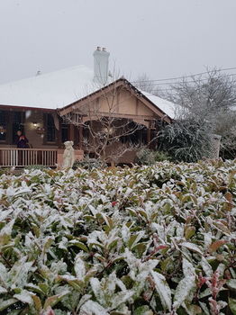 Hotel Avonleigh - New Castle Holiday 57