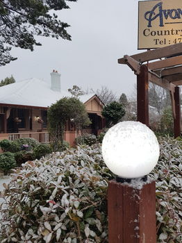 Hotel Avonleigh - New Castle Holiday 58