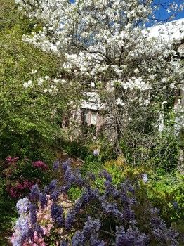 Hotel Avonleigh - New Castle Holiday 62