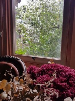 Hotel Avonleigh - New Castle Holiday 64