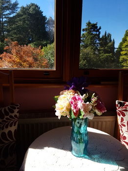 Hotel Avonleigh - New Castle Holiday 66