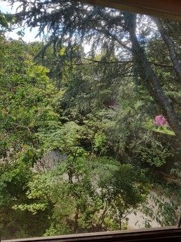 Hotel Avonleigh - New Castle Holiday 70