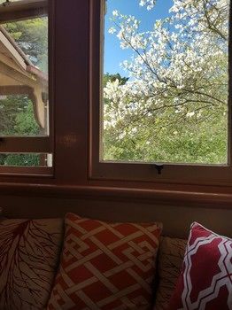 Hotel Avonleigh - New Castle Holiday 71