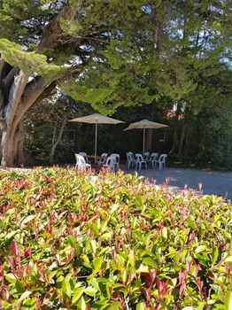 Hotel Avonleigh - New Castle Holiday 74