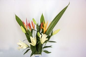 Ninderry Manor Luxury Retreat - New Castle Holiday 8