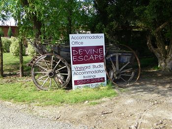 De'Vine Escape - New Castle Holiday 3