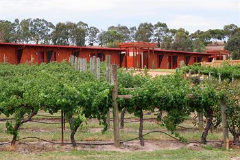 De'Vine Escape - New Castle Holiday 4