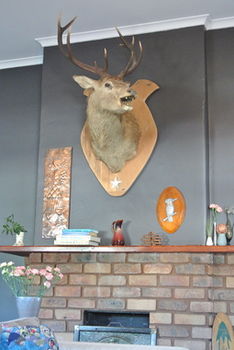 Vine Valley Inn - New Castle Holiday 49
