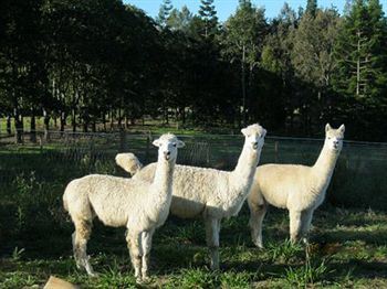 Beerwah QLD New Castle Holiday