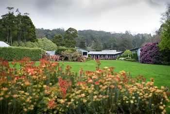 CountryPlace - New Castle Holiday 8