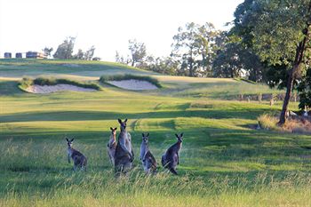 Riverside Oaks Golf Resort - New Castle Holiday 1