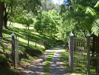 Brentwood Accommodation - New Castle Holiday 1