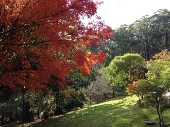 Brentwood Accommodation - New Castle Holiday 43