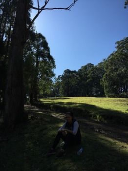 Brentwood Accommodation - New Castle Holiday 58