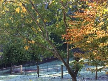 Brentwood Accommodation - New Castle Holiday 64