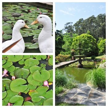 Brentwood Accommodation - New Castle Holiday 65