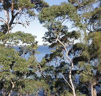The Edgewater Bed amp Breakfast - New Castle Holiday