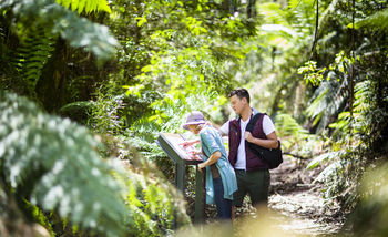 Mountain Element Retreats - New Castle Holiday 10