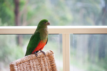 Mountain Element Retreats - New Castle Holiday 13