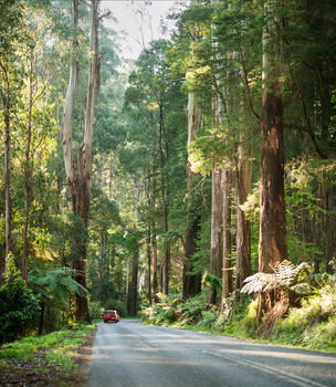 Mountain Element Retreats - New Castle Holiday 15