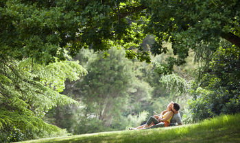 Mountain Element Retreats - New Castle Holiday 16