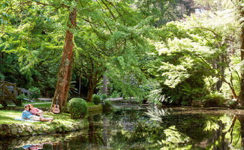 Mountain Element Retreats - New Castle Holiday 17