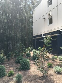Ibis Budget Gosford - New Castle Holiday 14