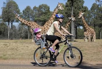 Zoofari Lodge, Taronga Western Plains Zoo - New Castle Holiday 7