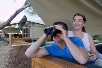 Zoofari Lodge, Taronga Western Plains Zoo - New Castle Holiday 12