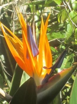 Sunshine Valley Cottages - New Castle Holiday 1