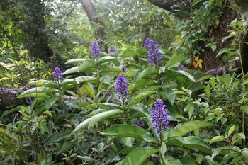 Sunshine Valley Cottages - New Castle Holiday 7