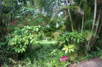 Sunshine Valley Cottages - New Castle Holiday 8