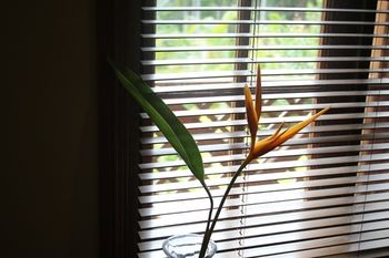 Sunshine Valley Cottages - New Castle Holiday 14